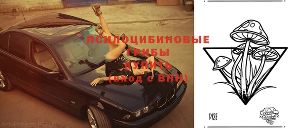 2c-b Алзамай