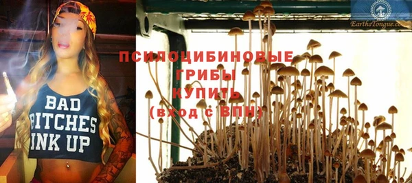 2c-b Алзамай