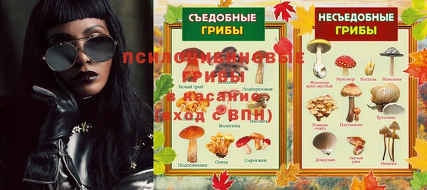 2c-b Алзамай