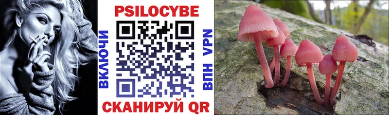 Псилоцибиновые грибы Cubensis  купить наркоту  Дзержинск 
